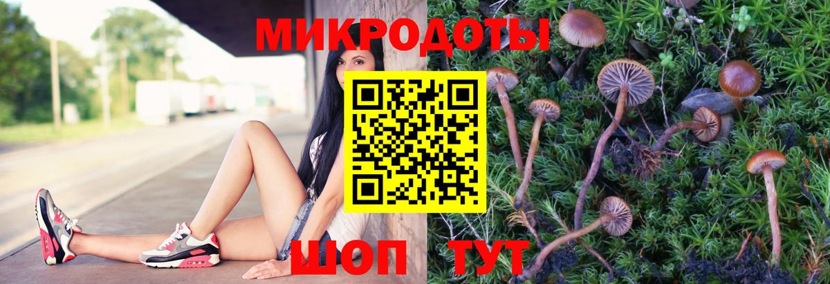 где продают   Вход с VPN  Омск  Псилоцибиновые грибы мухоморы  Галлюциногенные грибы GOLDEN TEACHER 