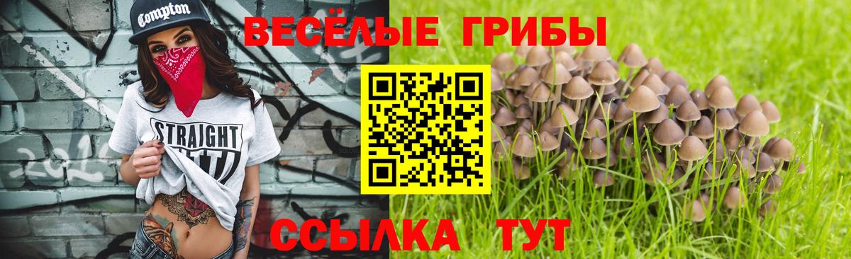 Псилоцибиновые грибы GOLDEN TEACHER Омск